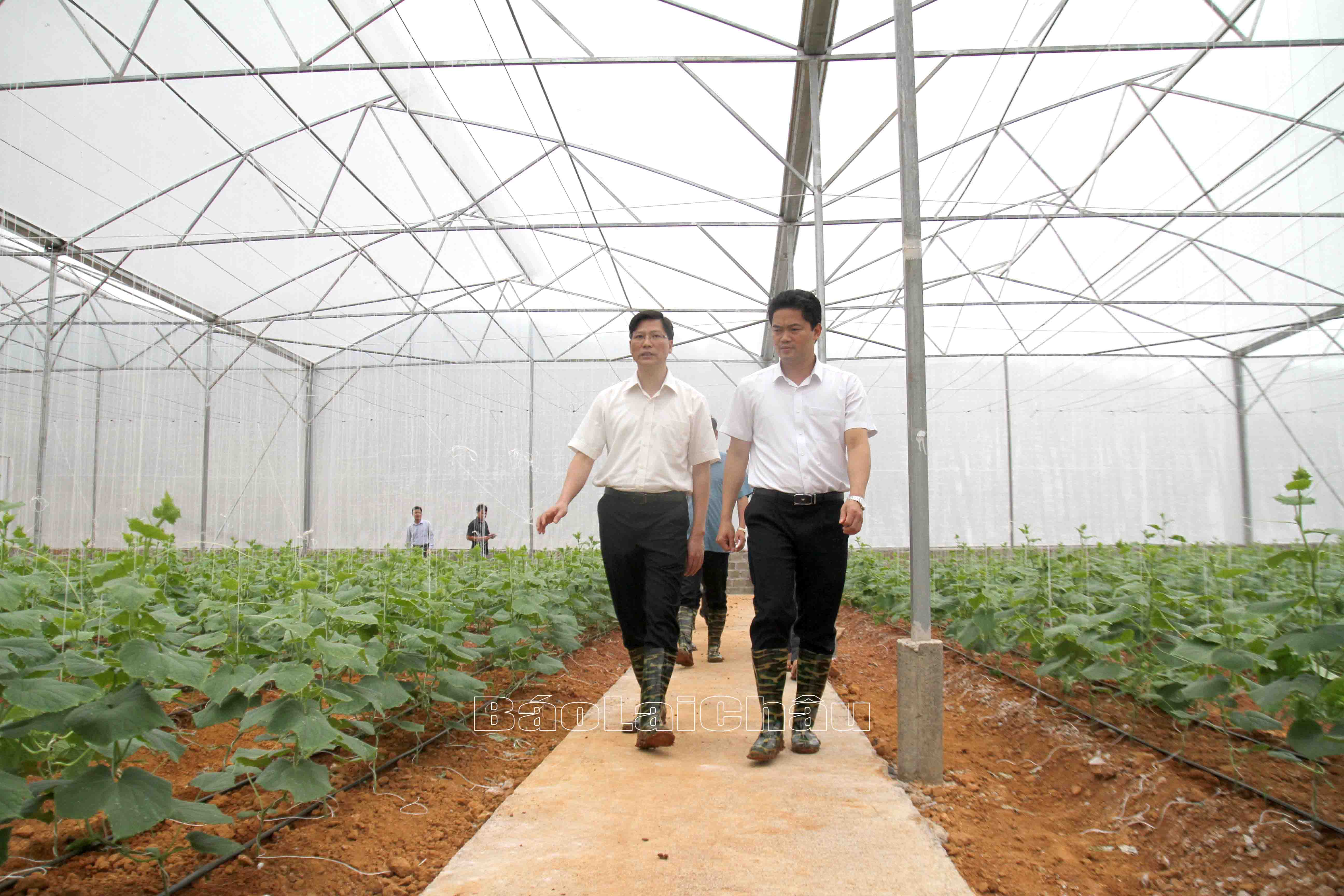Đồng chí Vũ Mạnh Hà - Ủy viên dự khuyết Trung ương Đảng, Phó Bí thư Tỉnh ủy thăm và làm việc tại xã Pắc Ta, huyện Tân Uyên.